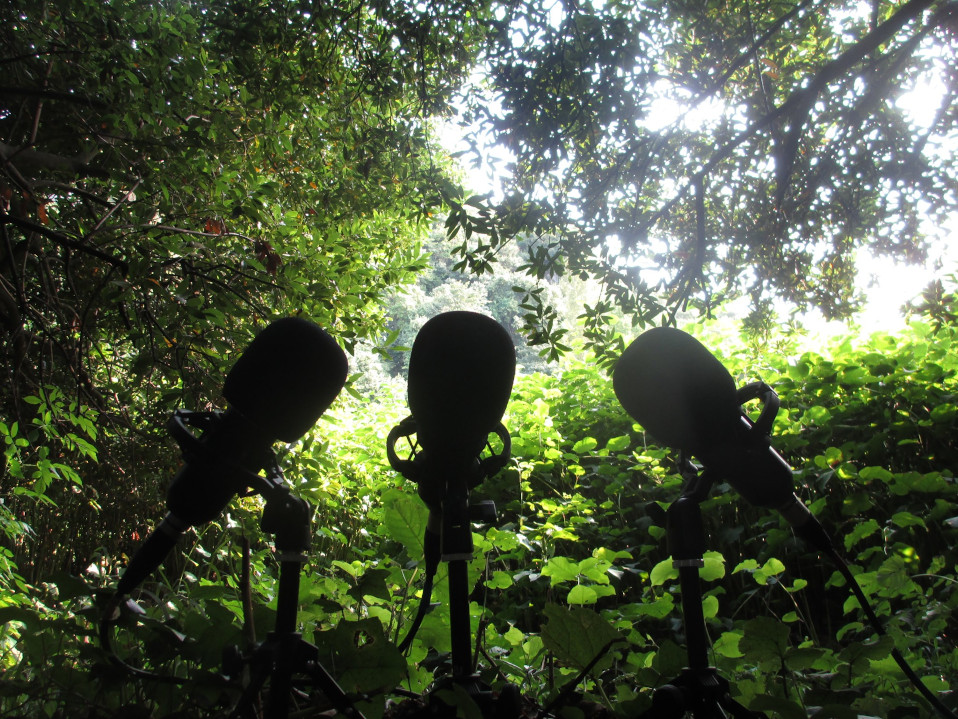 ¡¡¡Estudio de Radio Argayo listo!!!
