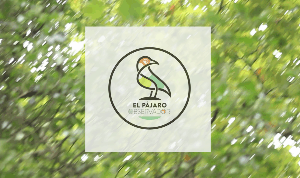 ¡Comienza la octava temporada de El Pájaro Observador!