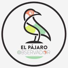 El Pájaro Observador
